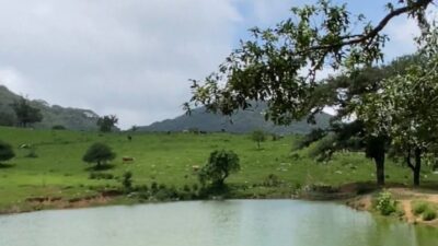 Puerto Paraíso fortalece su ruta hacia el ecoturismo sustentable en la sierra de Tamaulipas