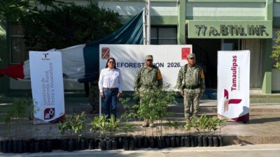Plantarán 200 nuevos árboles en instalaciones del 77/o Batallón de Infantería