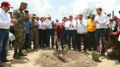 Más de 2 mil personas participan en reforestación de 818 hectáreas en Tamaulipas