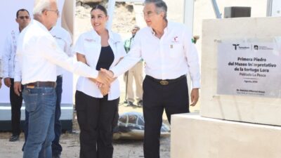 Más turismo y conservación: Tamaulipas construye Museo de la Tortuga Lora